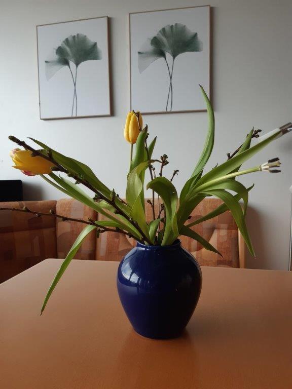 Ferienzentrum Bodensee Oberteuringen Екстер'єр фото